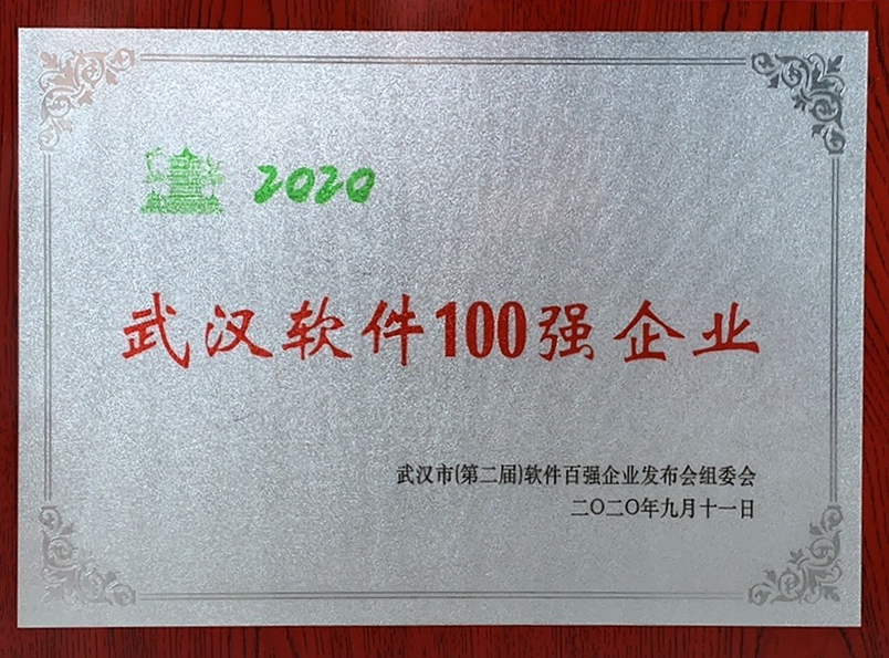 16、2020年武漢軟件100強企業(yè)